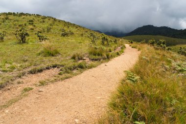Horton ovaları Milli Parkı, sri lanka