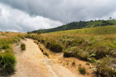 Horton ovaları Milli Parkı, sri lanka