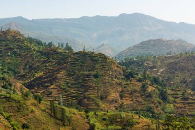 Sri Lanka kırsalındaki tropik dağ manzarası