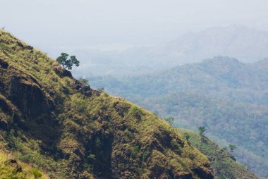 Sri Lanka kırsalındaki tropik dağ manzarası