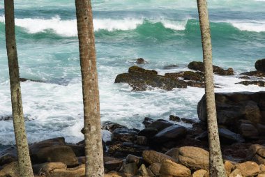 Dondra, Sri Lanka 'daki Rocky plajı.