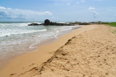 Kumlu tropik plaj, Bentota Sri Lanka