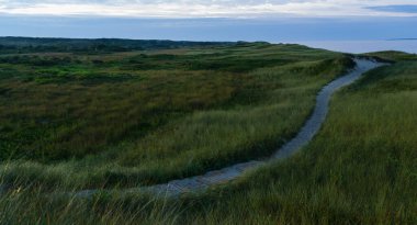 Şafakta Aquinnah Sahili 'ne giden kum yolu, Martha' s Vineyard.