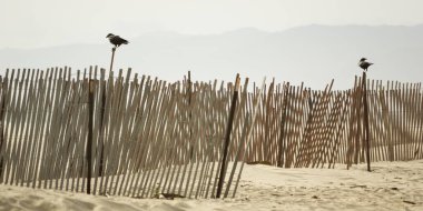 Venice Beach, California, ahşap çitler