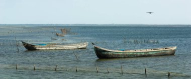 Karides balıkçı tekneleri, Sri Lanka değil.