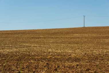 Çek Cumhuriyeti kırsalında hasat edilmiş bir alanda elektrik hatları