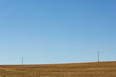 Çek Cumhuriyeti kırsalında hasat edilmiş bir alanda elektrik hatları