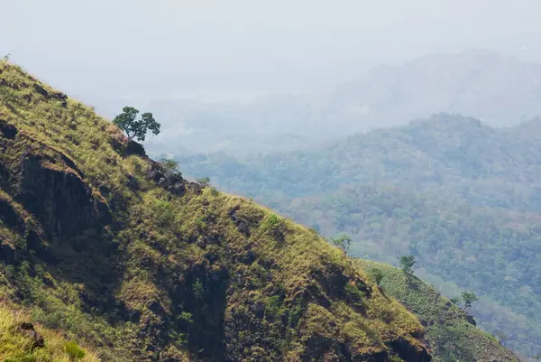 Sri Lanka kırsalındaki tropik dağ manzarası