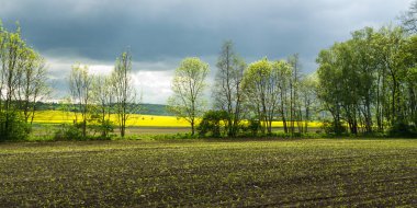 Çek Cumhuriyeti kırsalında, bir tarla üzerinde bahar fırtınalı gökyüzü