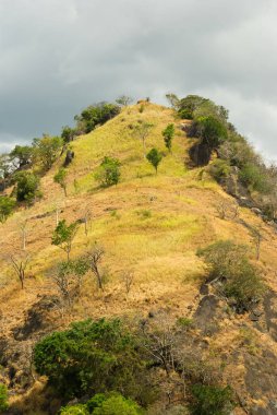 Tepe tropik manzarası, Sri Lanka