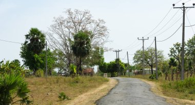 Elektrik hatları olan kırsal yol, doğu Sri Lanka