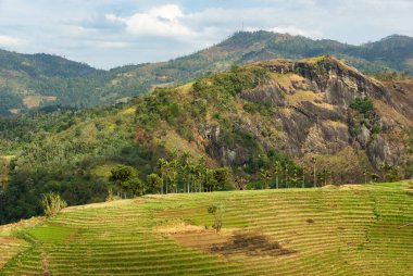 Merkez Sri Lanka'nın tropikal dağ manzarası