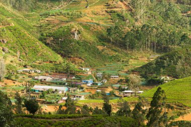 Evleri ve çay tarlaları olan Sri Lanka tepeleri.