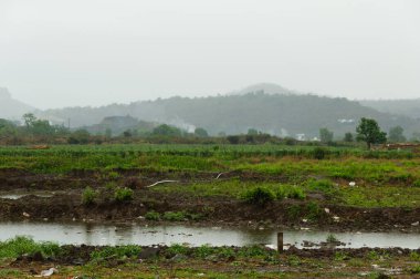 Hindistan'da yağmurlu ve kirli peyzaj