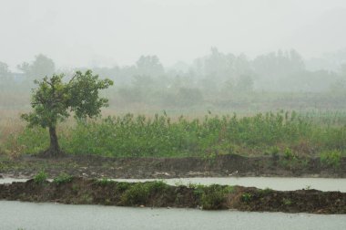 Heavy monsoon rain in rural India clipart