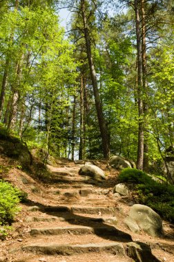 Cesky raj namı diğer Bohemya Cenneti 'nde taş basamaklarla yürüyüş.
