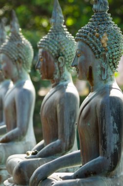 Satır bir Buda'nın heykel Ganagarama Tapınağı, Sri Lanka