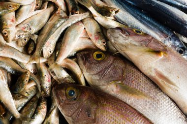 Bir Pazar ekranda çeşitli balık yığını