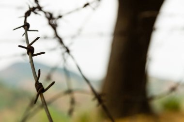 Dikenli tel tepelik bir manzara içinde closeup