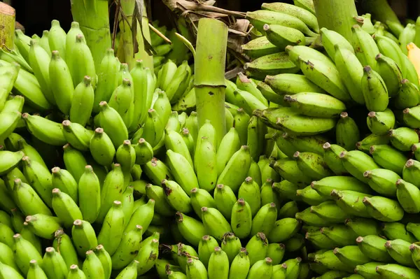 Stack Fershly Cut Unripe Green Bananas Sale Stock Image