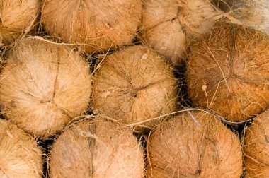 Satılık ekranda taze soyulmuş hindistancevizi yığını