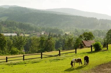 Avrupa Yaz tarım arazileri sahne iki at ile