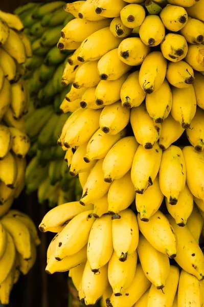 Closeup lezzetli olgun muz bir demet