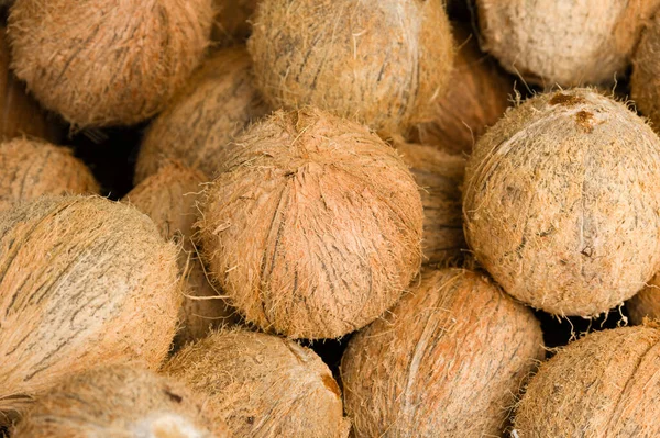 Satılık ekranda taze soyulmuş hindistancevizi yığını