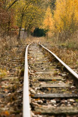 Çek Cumhuriyeti 'nin Soos Ulusal Doğa Rezervi' ndeki tren rayları daraldı ve terk edildi.