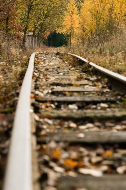 Çek Cumhuriyeti 'nin Soos Ulusal Doğa Rezervi' ndeki tren rayları daraldı ve terk edildi.