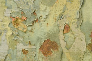 Paslı metal, kabuğu soyulmuş yeşil ve haki rengi boya.