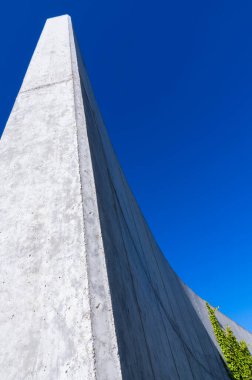 Ivy büyük gri beton dış duvarda büyüyor.