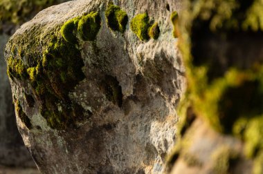 Çek Cumhuriyeti 'nin Bohemya Cenneti, Prachov Kayalıkları' ndaki yosun kaplı kumtaşı kayalarının kapatılması