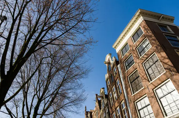 Amsterdam'da berrak mavi bir gökyüzü altında tuğla evlerin güneşli cepheler