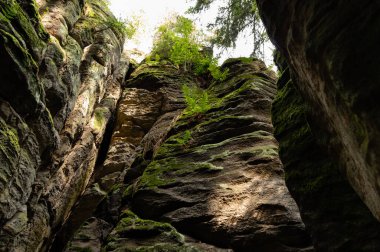 Prahov Kayalıkları 'ndaki doğal kumtaşı oluşumları rock kasabası, Bohem cenneti, Çek Cumhuriyeti