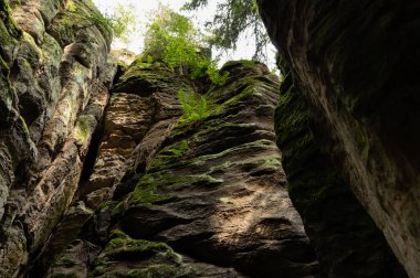 Prahov Kayalıkları 'ndaki doğal kumtaşı oluşumları rock kasabası, Bohem cenneti, Çek Cumhuriyeti