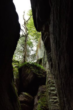 Prahov Kayalıkları 'ndaki doğal kumtaşı oluşumları rock kasabası, Bohem cenneti, Çek Cumhuriyeti