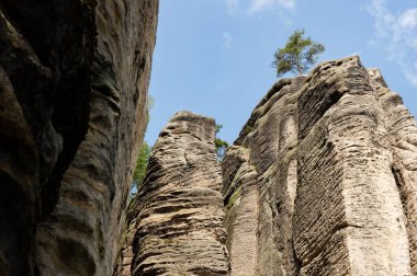 Prahov Kayalıkları 'ndaki doğal kumtaşı oluşumları rock kasabası, Bohem cenneti, Çek Cumhuriyeti