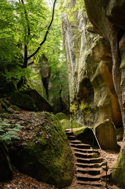 Çek Cumhuriyeti, Bohemya Cenneti, Prachov Kayalıkları 'ndaki orman ve kumtaşı kayalıklarında yürüyüş yolu.