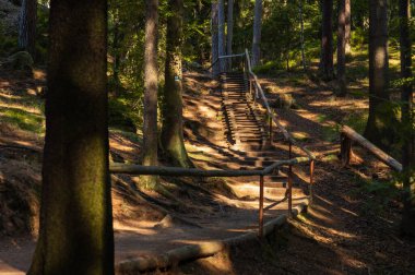 Çek Cumhuriyeti 'ndeki Adrspach kayalıklarında merdivenleri ve ormanın içinden geçen ahşap tırabzanları olan dik yürüyüş patikaları.