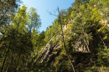 Muazzam kaya oluşumları olan orman, Adrspach kayaları, Çek Cumhuriyeti