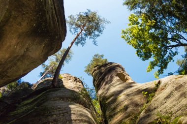 Çek Cumhuriyeti 'ndeki Adrspach kayalarında muazzam kaya oluşumları