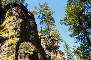 Çek Cumhuriyeti 'ndeki Adrspach kayalarında muazzam kaya oluşumları
