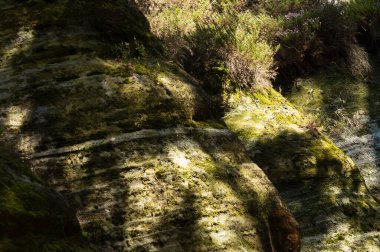 Katı kaya oluşumlarını kaplayan yeşil yosun, Adrspach kayaları, Çek Cumhuriyeti