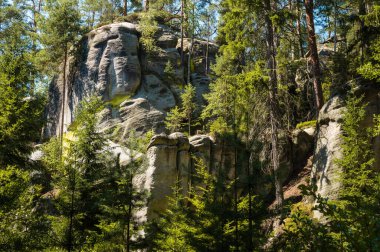 Muazzam kaya oluşumları olan orman, Adrspach kayaları, Çek Cumhuriyeti