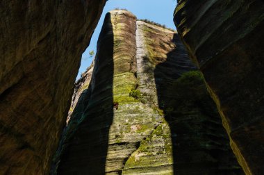 Katı kaya oluşumlarını kaplayan yeşil yosun, Adrspach kayaları, Çek Cumhuriyeti