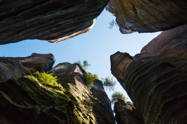 Çek Cumhuriyeti 'ndeki Adrspach kayalarında muazzam kaya oluşumları üzerinde büyüyen ağaçlar