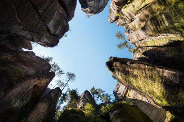 Çek Cumhuriyeti 'ndeki Adrspach kayalarında muazzam kaya oluşumları