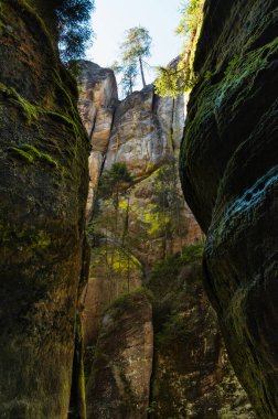 Çek Cumhuriyeti 'ndeki Adrspach kayalarında muazzam kaya oluşumları