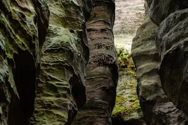 Prahov Kayalıkları 'ndaki doğal kumtaşı oluşumları rock kasabası, Bohem cenneti, Çek Cumhuriyeti